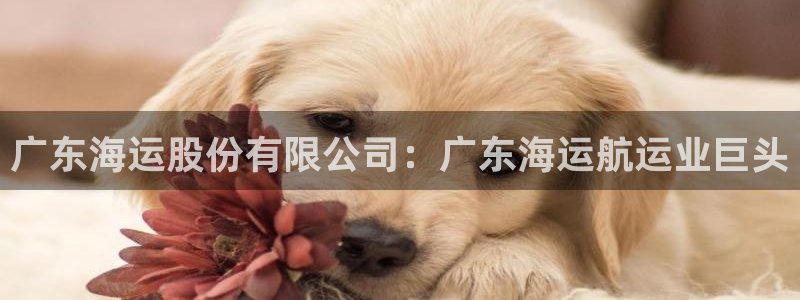 欢迎来到 公园