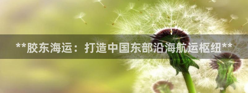 欢迎来到g港