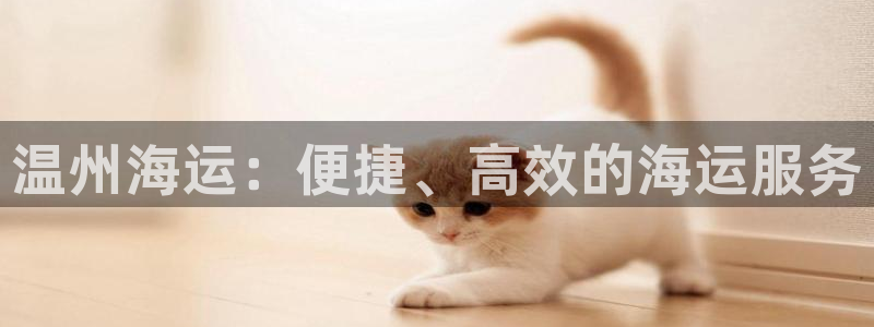 去公海赌博合法吗