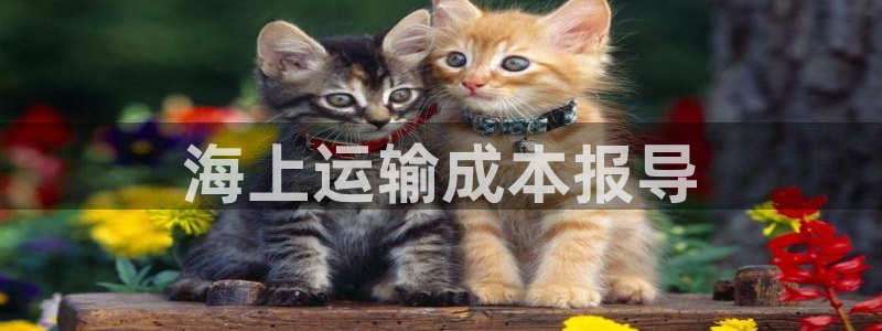 欢迎来到公海7108客服