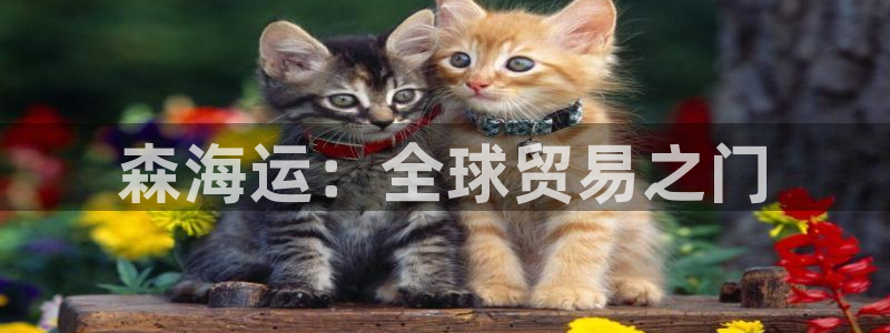 公海赌船怎么样
