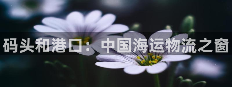 公海赌钱犯法吗