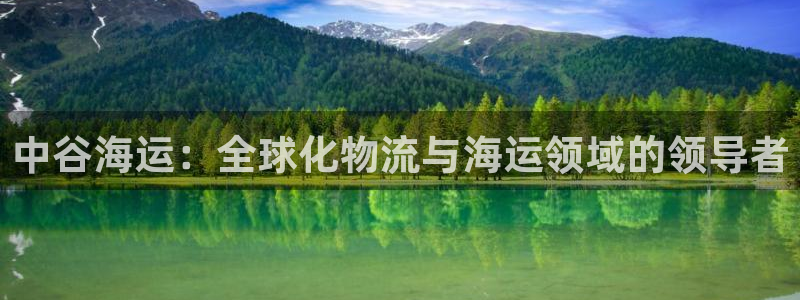 公海赌赌船官网