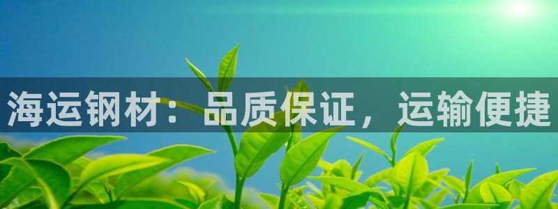 公海赌赌船官网jc710