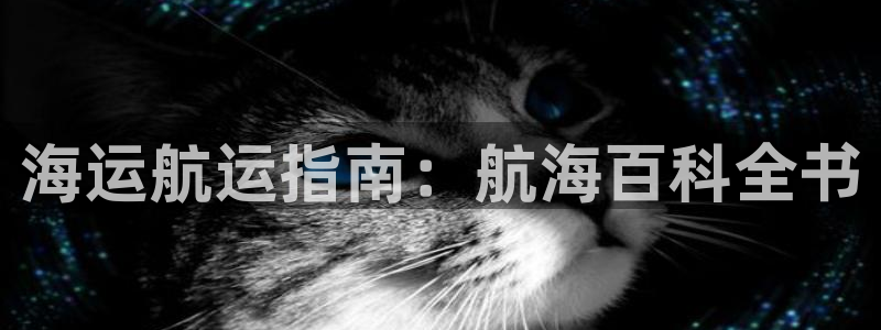 公海 赌船710手机版下载