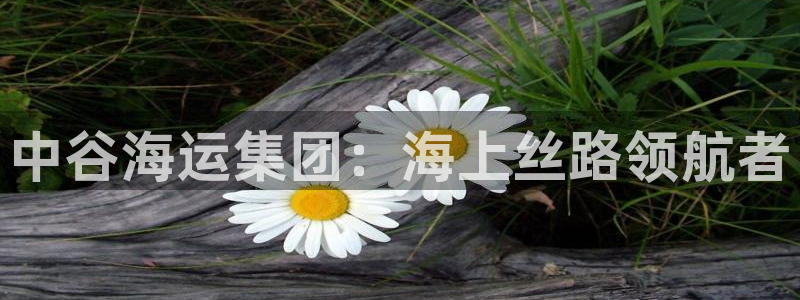 710公海赌赌船有总代理吗