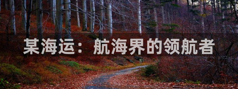 欢迎来到海牛星简谱