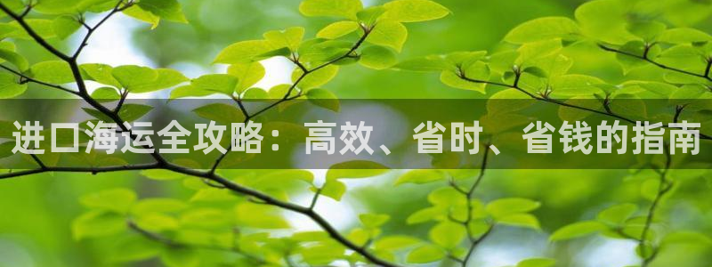 在公海赌博不违法吗
