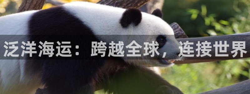 欢迎您到公海赌来