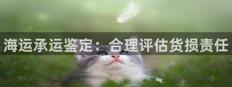 公海赌赌船官网