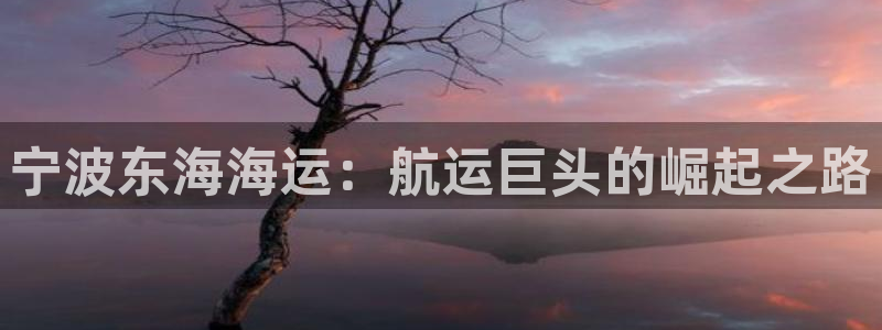 欢迎来到公海710官网