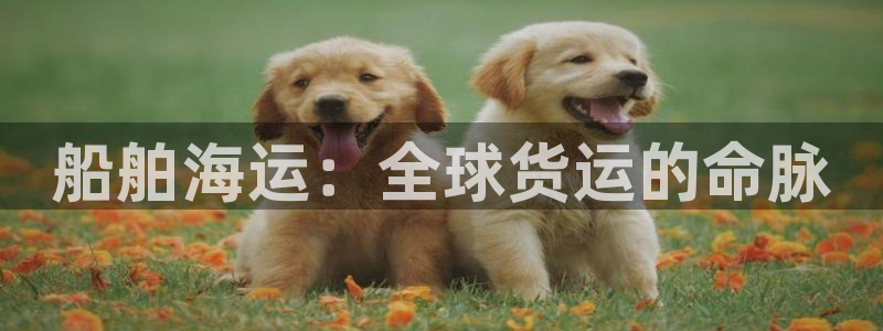 公海赌船怎么样