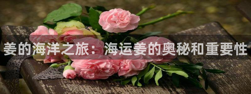 欢迎你来到 公主的海岛