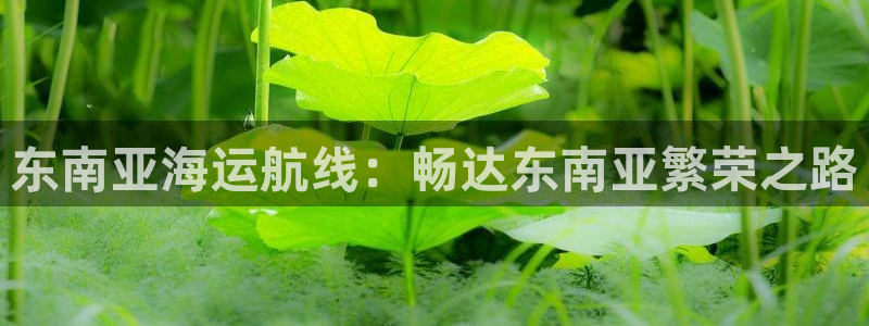 欢迎你来到公主的海岛