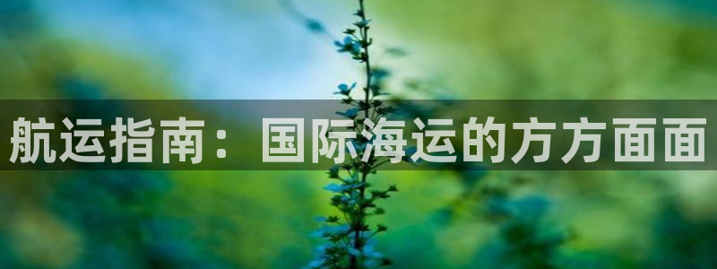 欢迎公海赌710