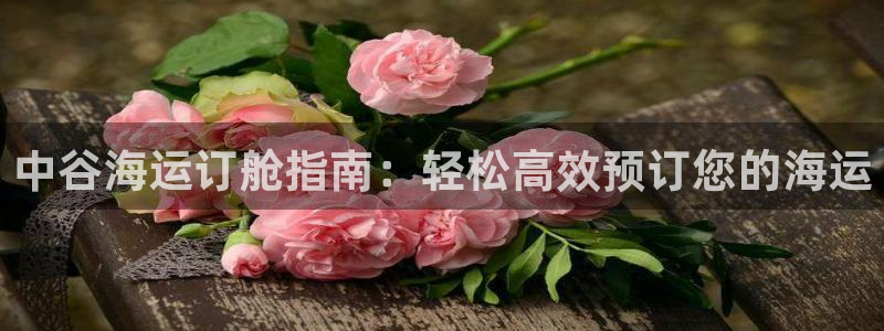 欢迎来到公海.欢迎来到赌船