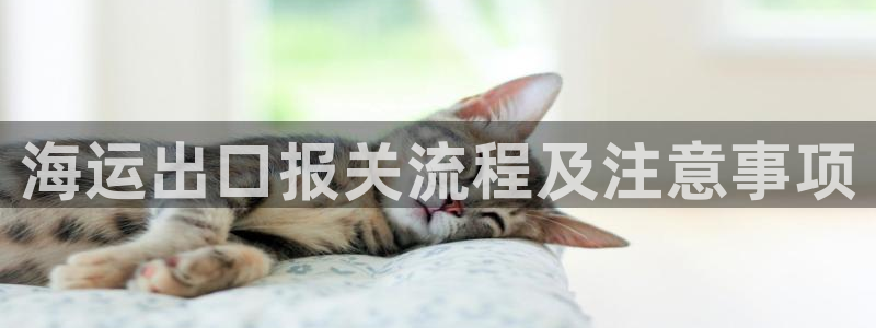 在公海赌博犯法吗