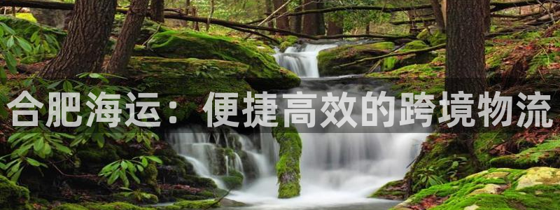 欢迎来到公海555000