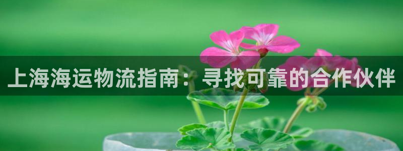 欢迎您来到公海