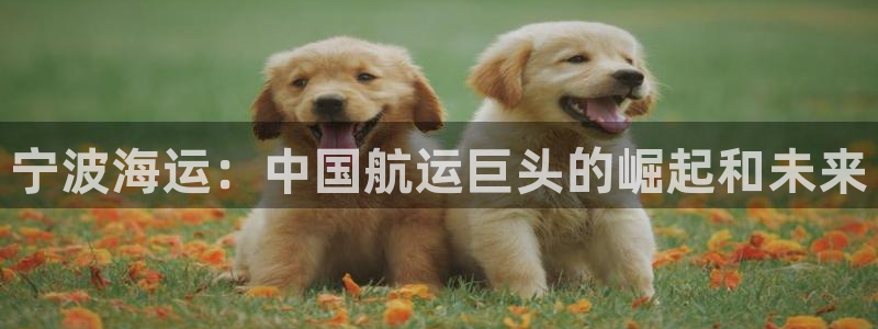 公海 赌船710手机版下载