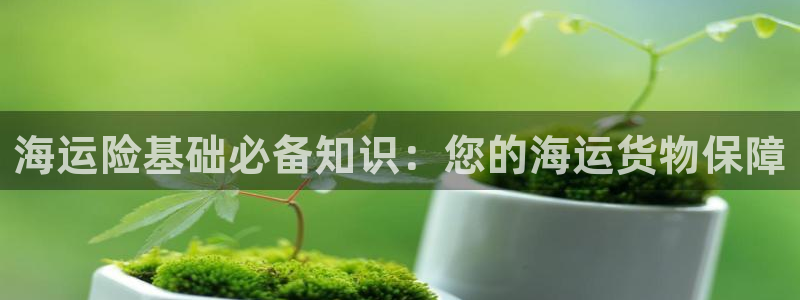 公海船赌网站是多少