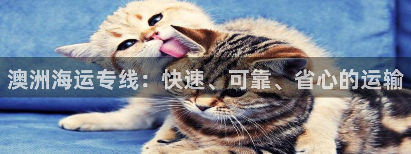 欢迎你来到公海欢迎你来到赌船