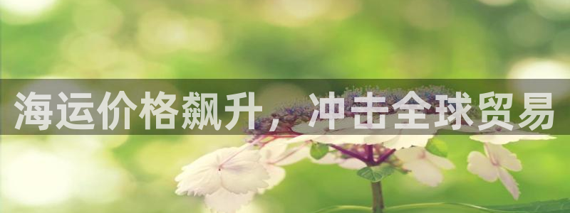 在公海赌博不违法吗
