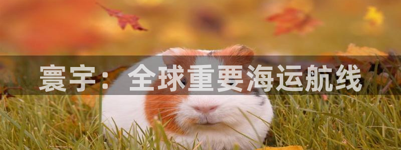 欢迎来到公海.欢迎来到赌船