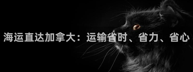 公海赌钱