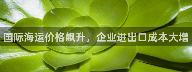 公海赌赌船官网jc710 下载