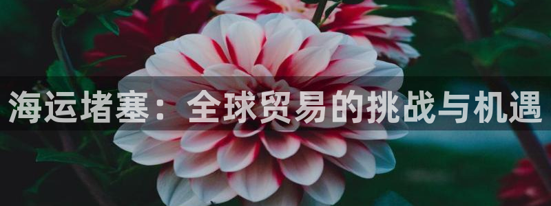 公海赌钱犯法吗