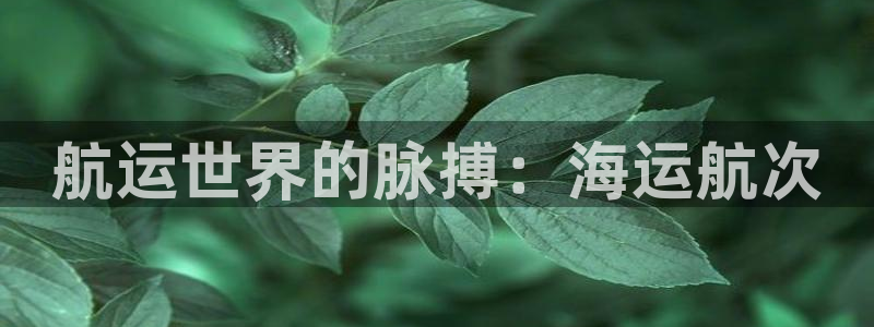 欢迎来公海欢迎来到赌船!