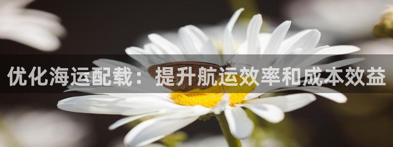 公海赌钱违法吗