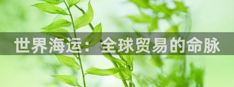 欢迎来到公海7108客服