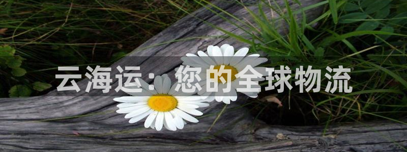 欢迎您来到公海欢迎您来到赌船