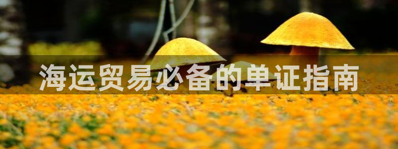 欢迎来到公赌船