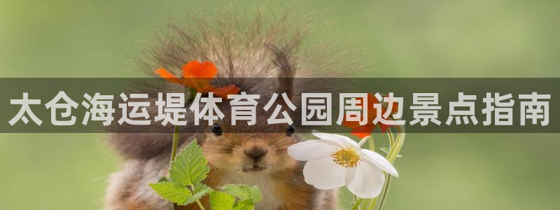 欢迎来到公海堵船