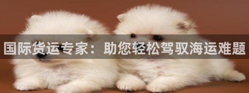 欢迎来到公海欢迎来到赌船!!